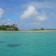 28- Motus le long de la barriere de corail 